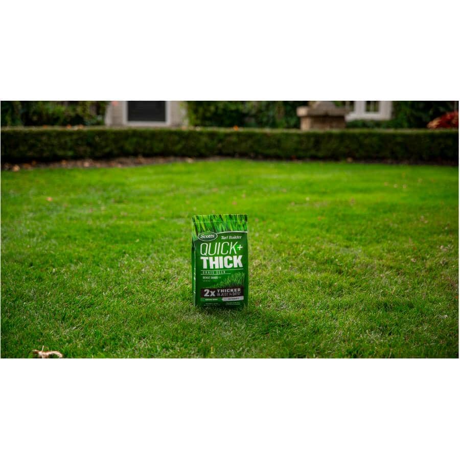 Turf Builder Quick+Thick Grass Seed - Dense Shade Mix, 1.2 kg