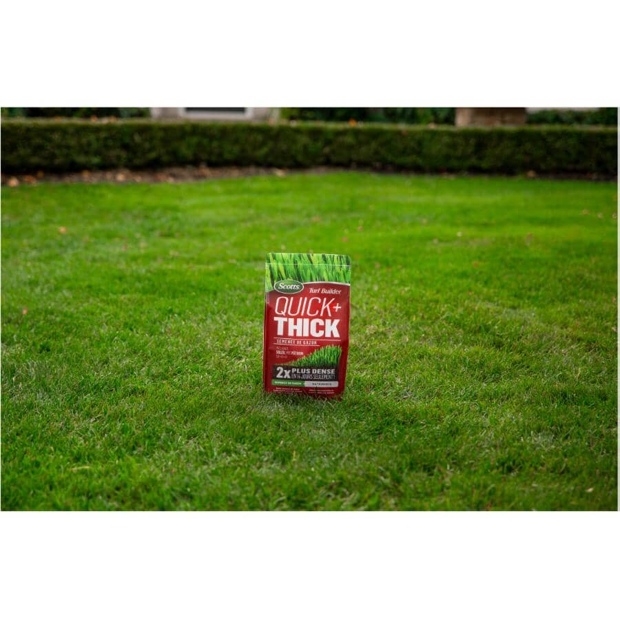 Turf Builder Quick+Thick Grass Seed - Sunny Bluegrass Mix, 1.2 kg
