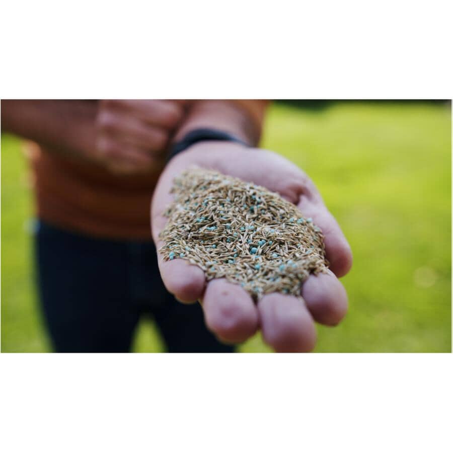 Turf Builder Quick+Thick Grass Seed - Sun and Shade Mix, 2.8 kg