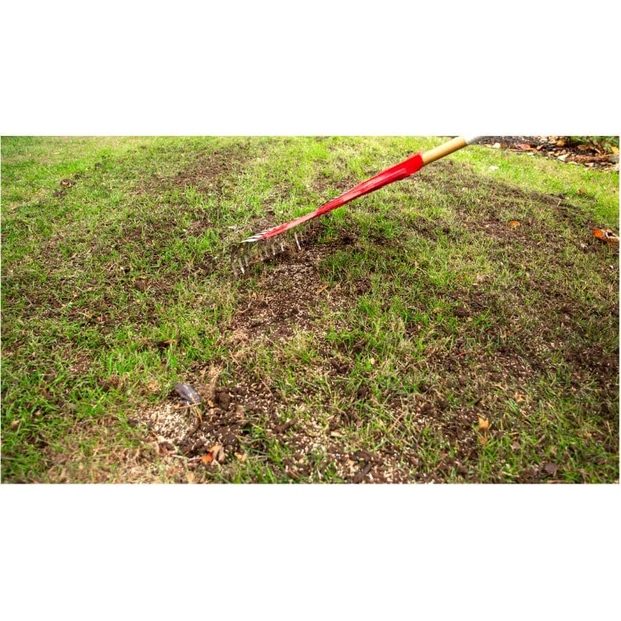 Turf Builder Quick+Thick Grass Seed - Sunny Bluegrass Mix, 1.2 kg