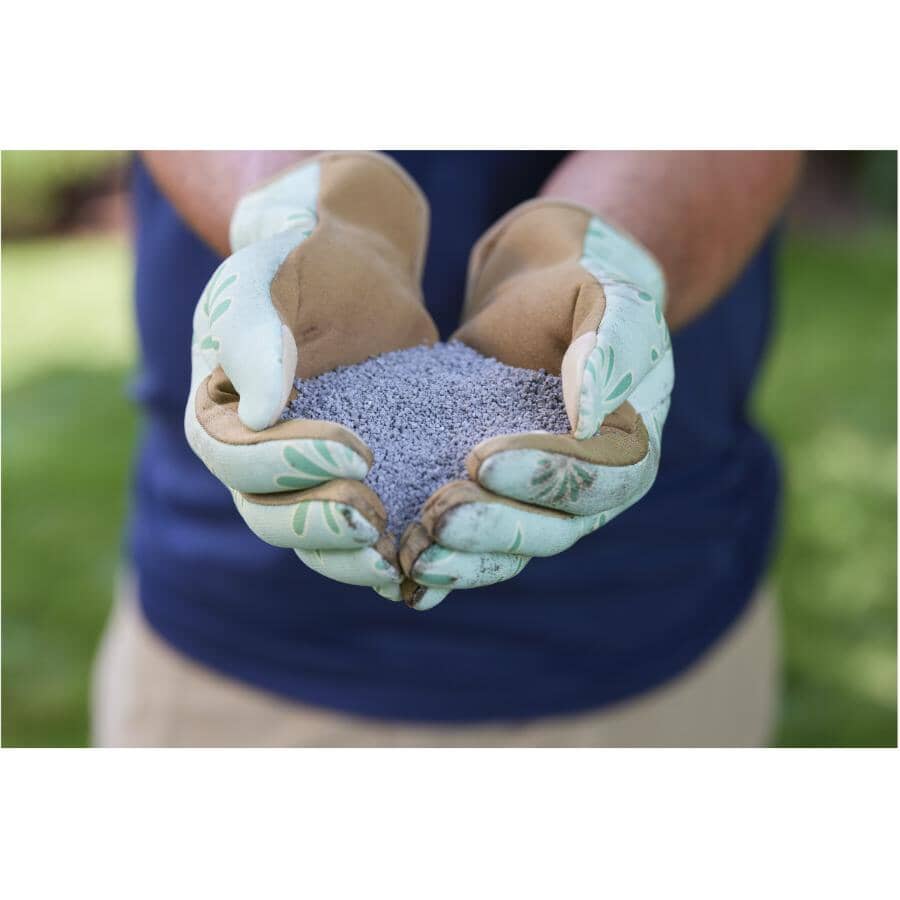 Turf Builder Small Lawns Fall Lawn Food - Covers 100 sq. m. + 32-0-10