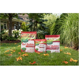 Turf Builder Small Lawns Fall Lawn Food - Covers 100 sq. m. + 32-0-10