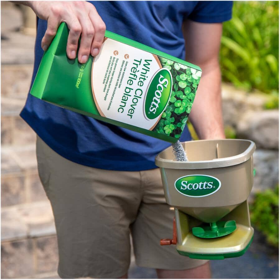 White Clover Grass Seed - 1 kg