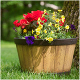 15.5" Natural Oak Whiskey Barrel Planter
