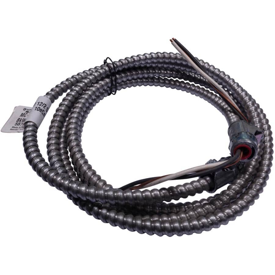 10' 12/2 AC-90 Armored Electrical Cable
