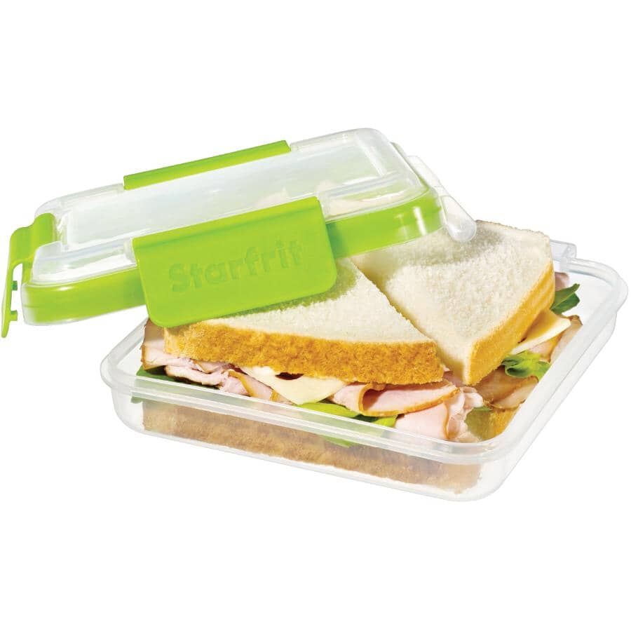 Easy Lunch Square Sandwich Container - 473 ml