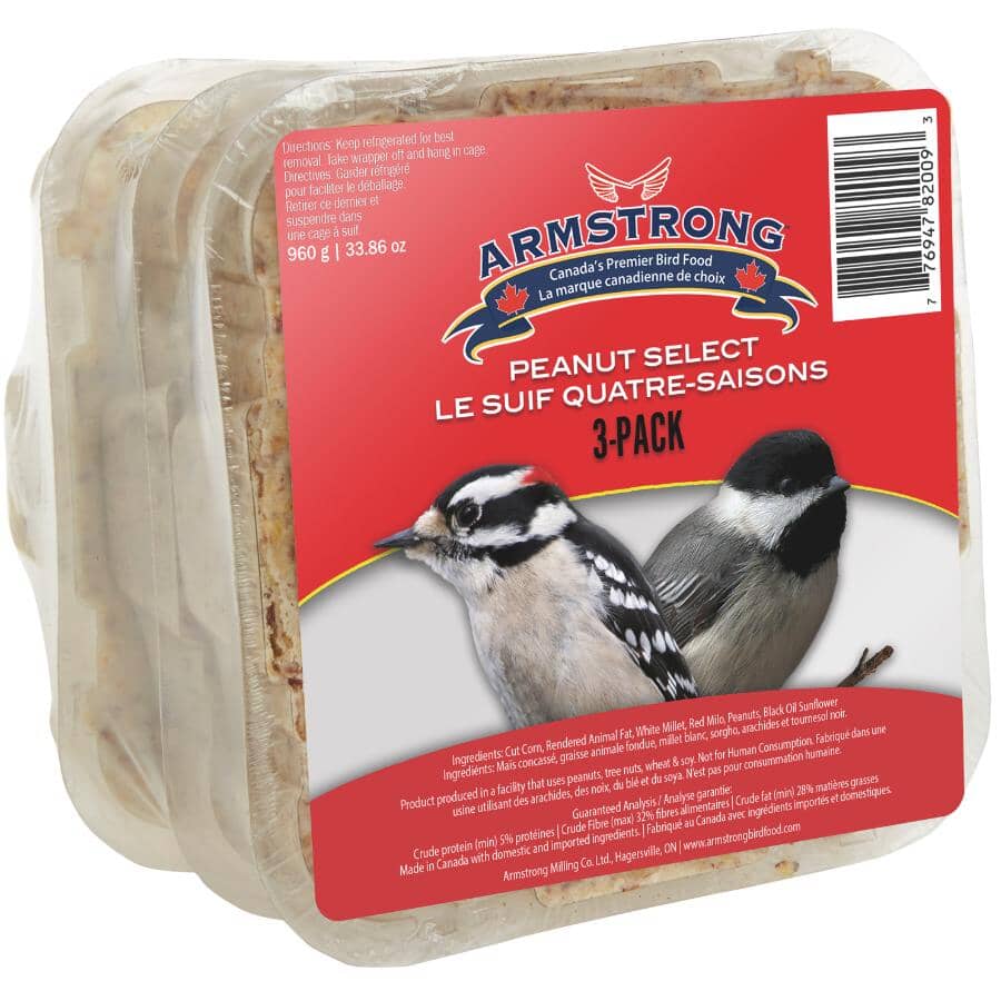 Suet Cake Bird Food - Peanut, 312 g, 3 Pack