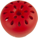 2 Pack Fruit Fly Traps