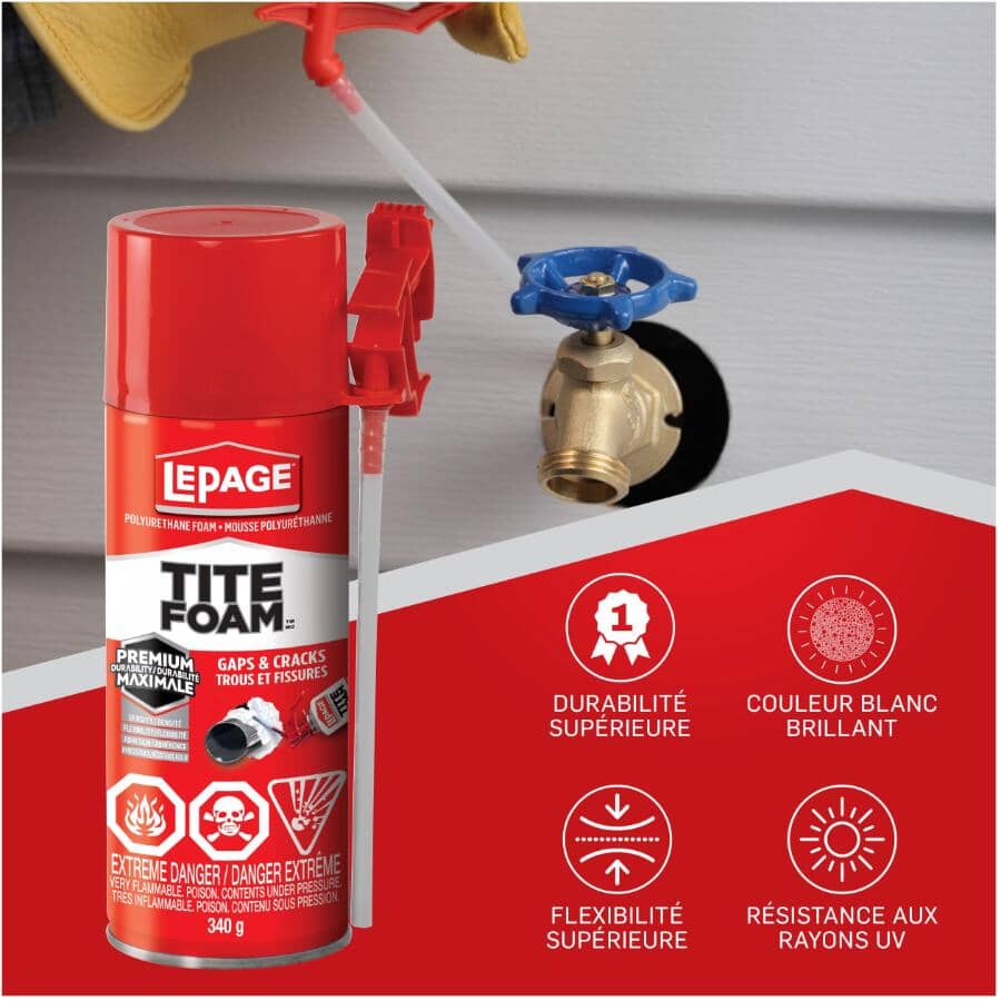 Gaps & Cracks Foam Sealant - White, 340 g