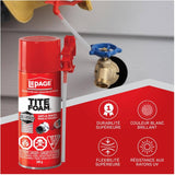 Gaps & Cracks Foam Sealant - White, 340 g
