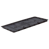 2 Pack Rat and Mouse Glue Traps