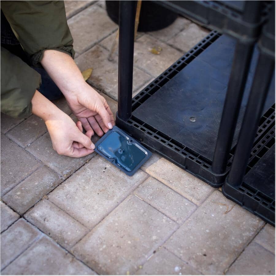 2 Pack Rat and Mouse Glue Traps