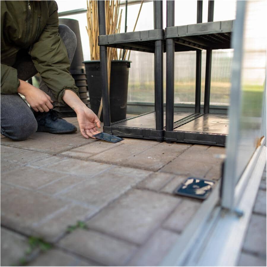 2 Pack Rat and Mouse Glue Traps