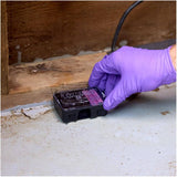 Advanced Formula Disposable Mouse Killer Bait Station - 28 g, 4 Pack