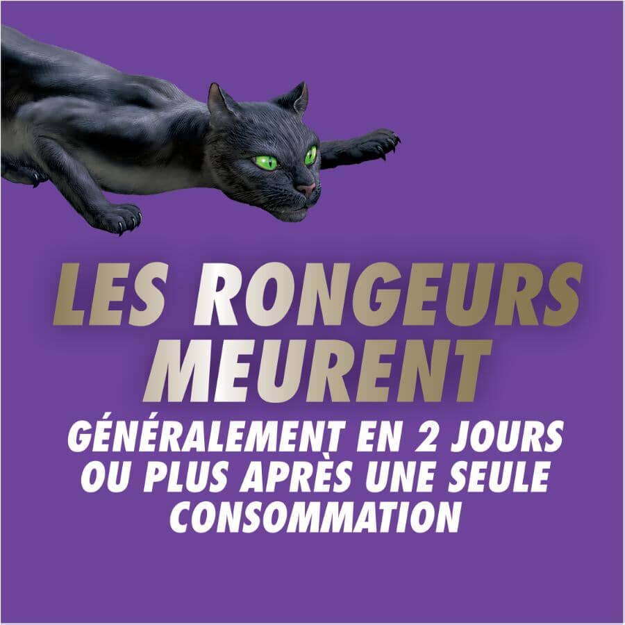 Advanced Formula Disposable Mouse Killer Bait Station - 28 g, 4 Pack