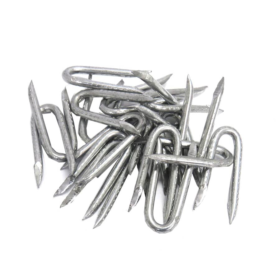 1-1/2" Galvanized Fence Staples - 50 Pack