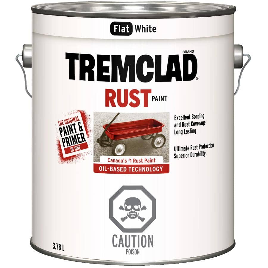 Rust Paint - Flat White, 3.78 L
