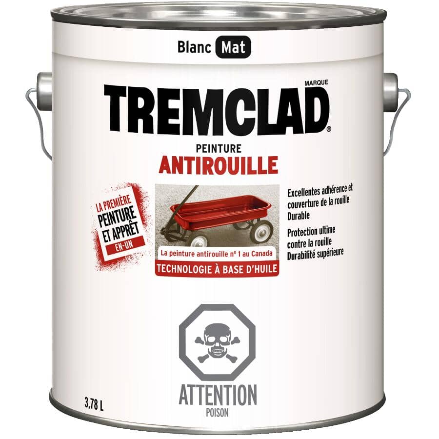 Rust Paint - Flat White, 3.78 L