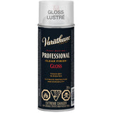 Fast Dry Professional Finish Spray - Clear Gloss, 319 g