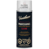 Fast Dry Professional Finish Spray - Clear Gloss, 319 g