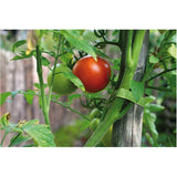 One-Wrap Garden Ties - 8" x 1/2", 45 Pack