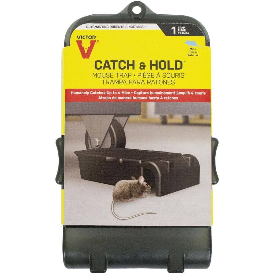 Catch & Hold Mouse Trap
