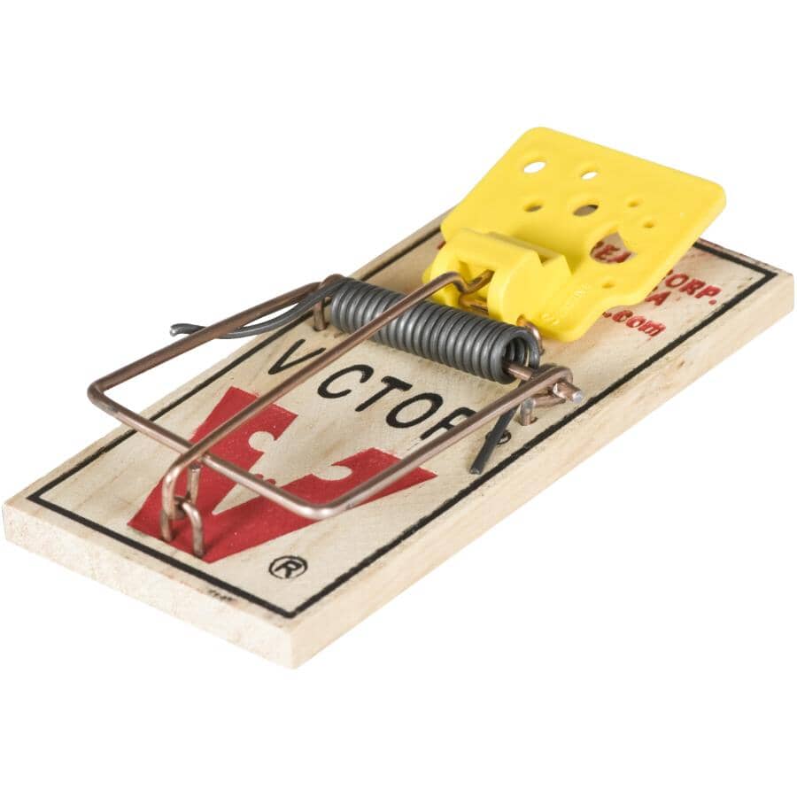 Easy Set Mouse Trap - 2 Pack