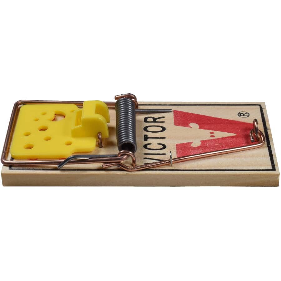 Easy Set Mouse Trap - 2 Pack