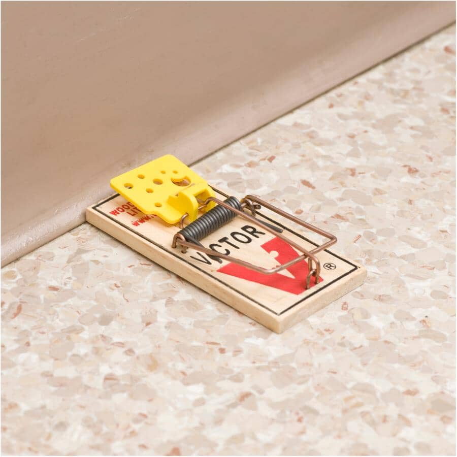 Easy Set Mouse Trap - 2 Pack