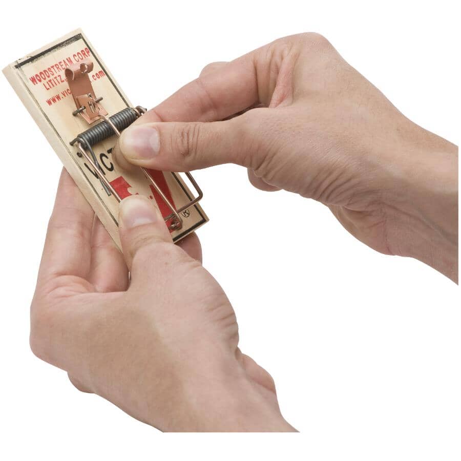 Metal Pedal Mouse Trap