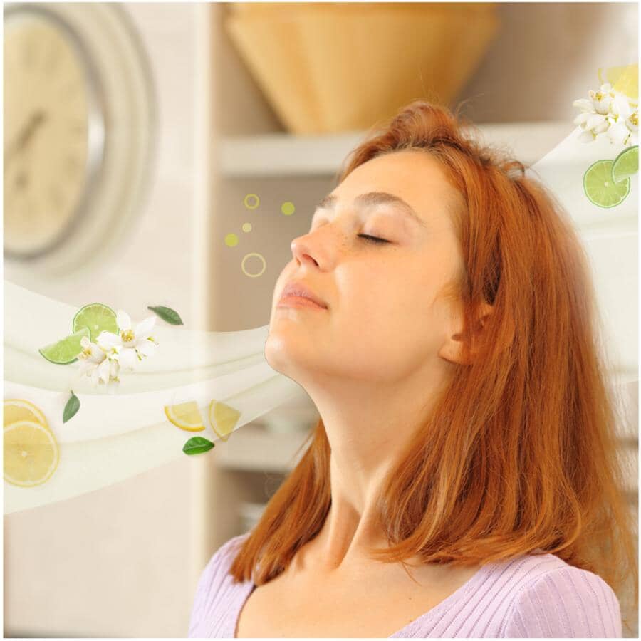 Floor Cleaning Pacs - Citrus, 10 Pack