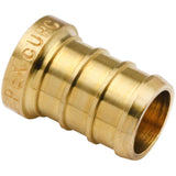 1/2" PEX Brass Plug