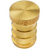 1/2" PEX Brass Plug