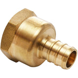 1/2" PEX  x 3/4" FPT Brass Adapter