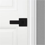 Breton Entrance Leverset - Matte Black + Smart Key