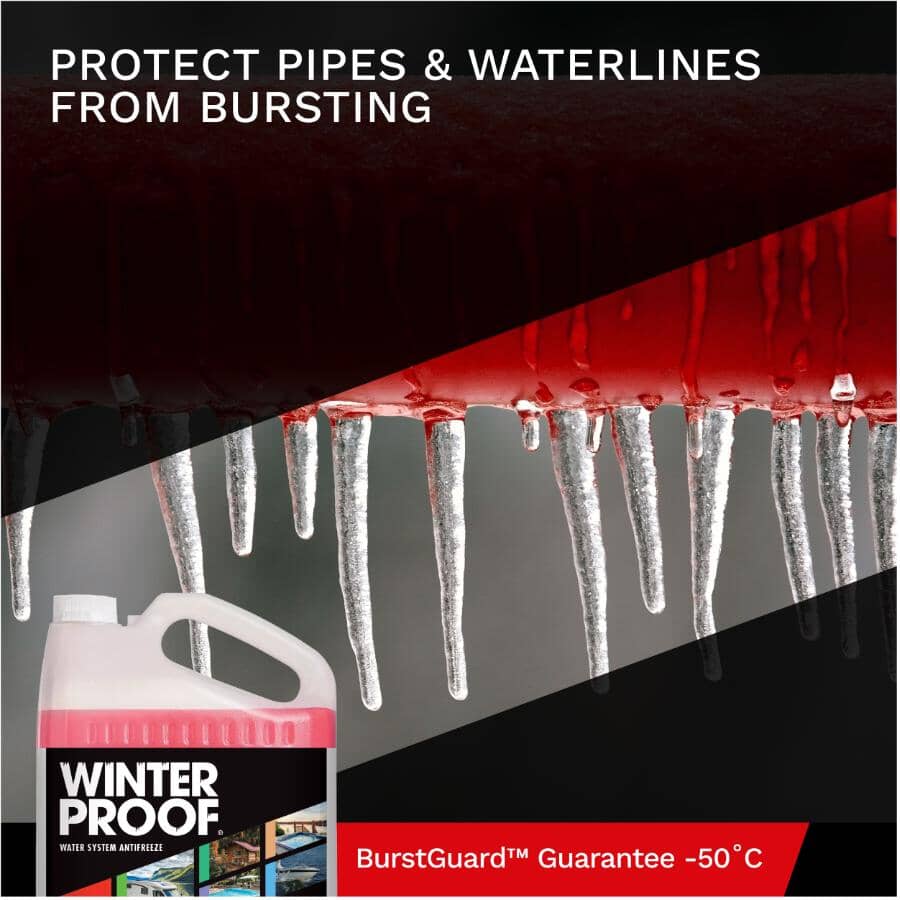 Water System Antifreeze - 9.46 L