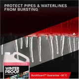 Water System Antifreeze - 9.46 L