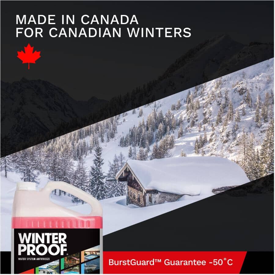 Water System Antifreeze - 9.46 L