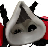 NIOSH P100 Dual Cartridge Half Mask Respirator - Asbestos & Lead