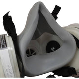 NIOSH P95 Dual Cartridge Respirator - Paint & Pesticide