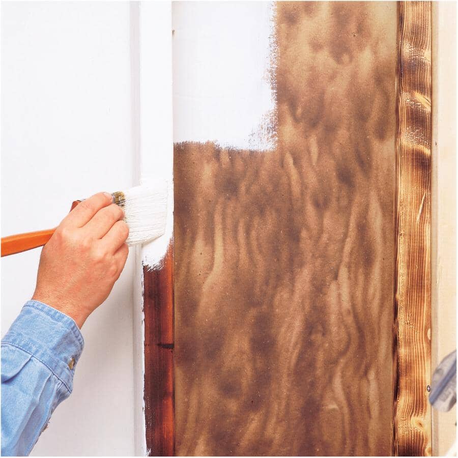 Bulls Eye 1-2-3 Latex Primer-Sealer - White, 3.78 L